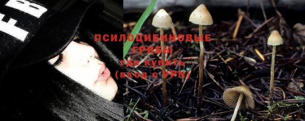 a pvp Алзамай